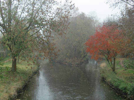 Geldern : An der Niers kann auch ein trüber Novembertag reizvoll sein